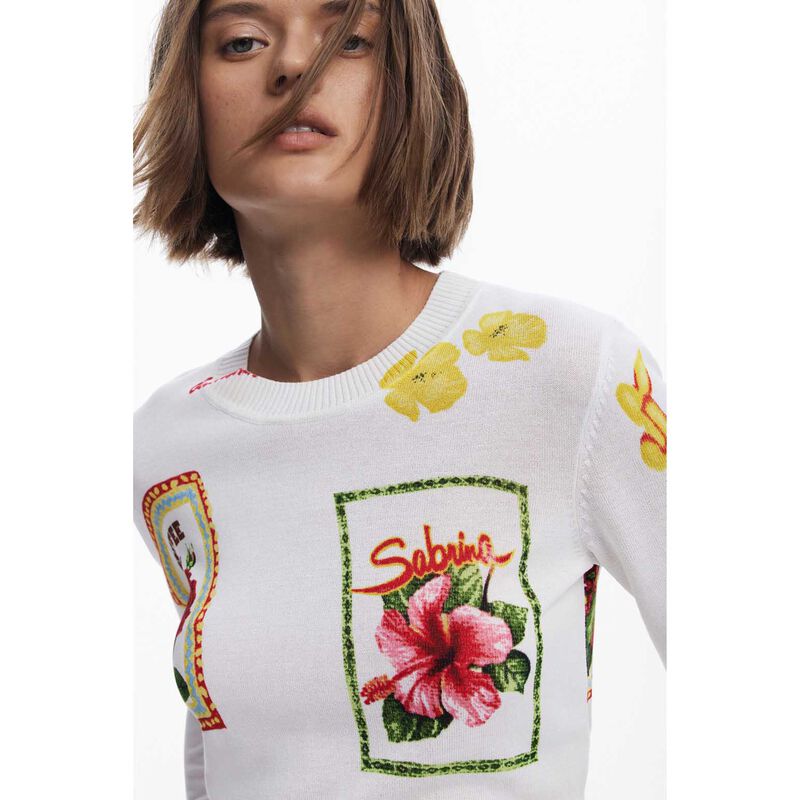 Desigual Tampere Pullover image number 2